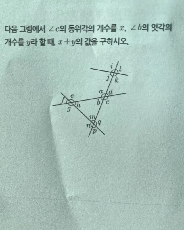 Angle relationships question in 한국어, solved by AI Solve Quiz